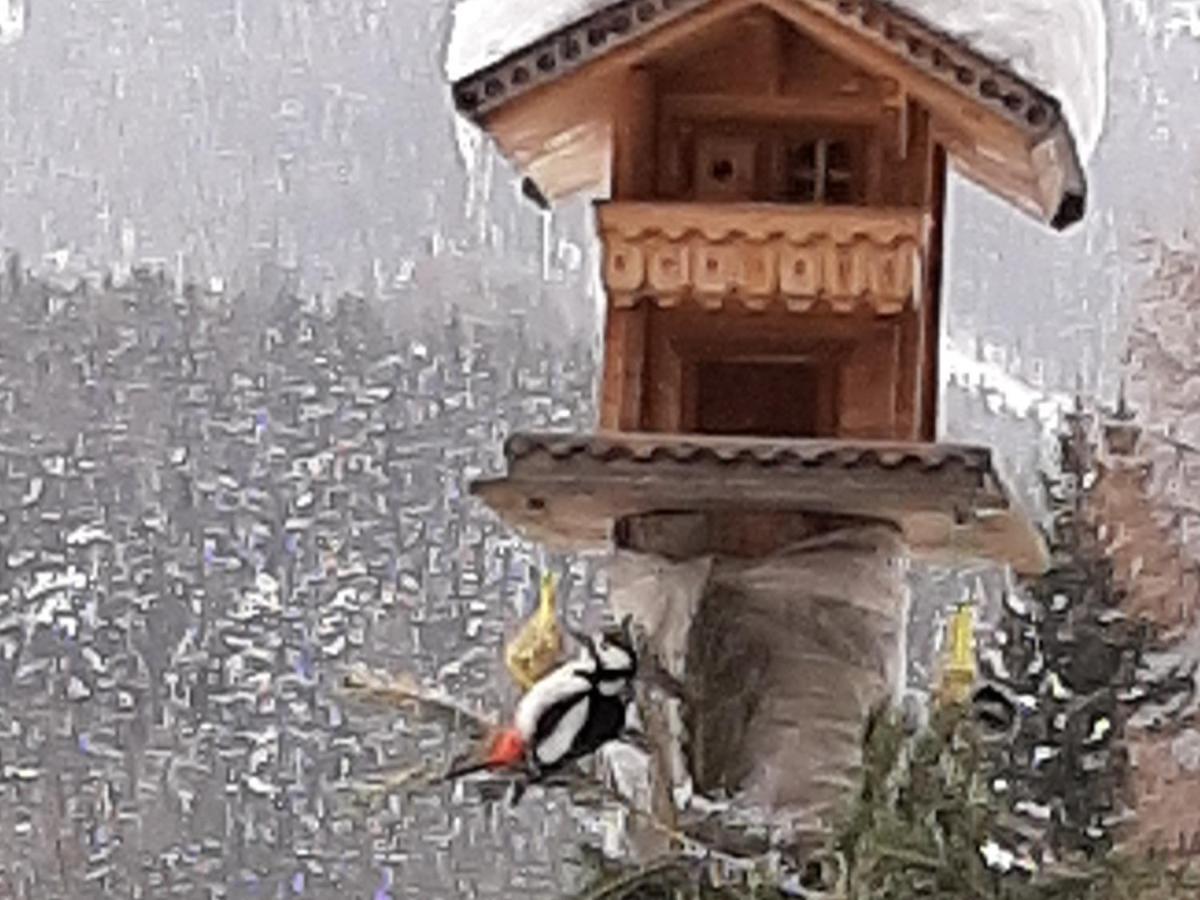 Pension Fürhapter mit Bio- Bauernhof St. Jakob in Defereggen Exterior foto