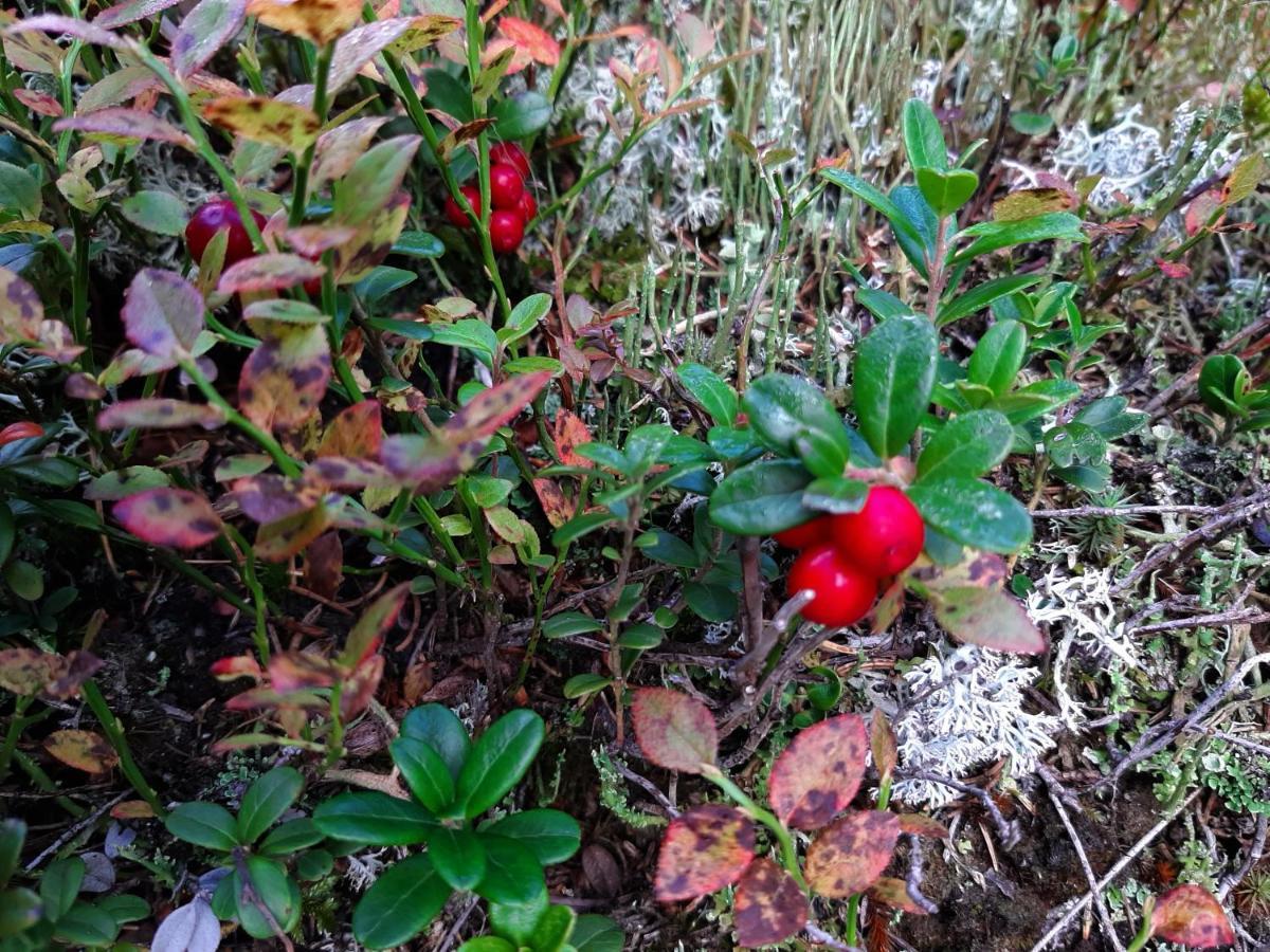 Pension Fürhapter mit Bio- Bauernhof St. Jakob in Defereggen Exterior foto